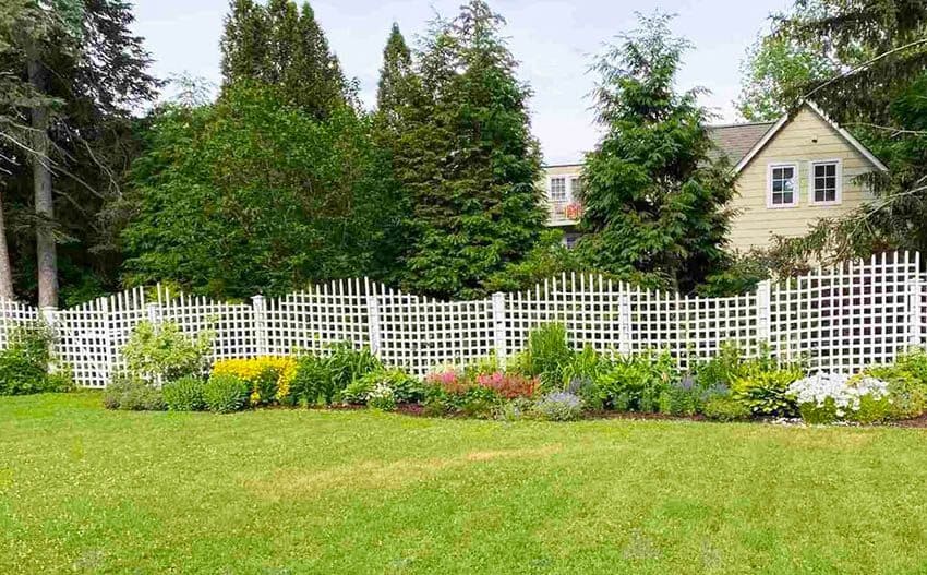 White lattice garden fencing