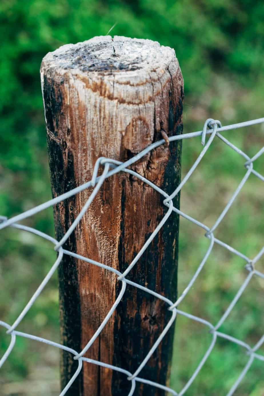 Wood and wire fencing