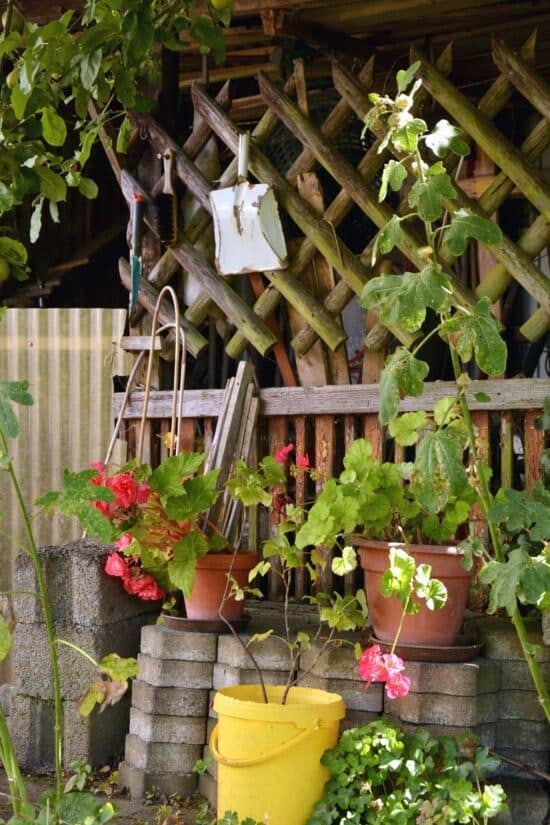 DIY fencing with shelf for potted plants