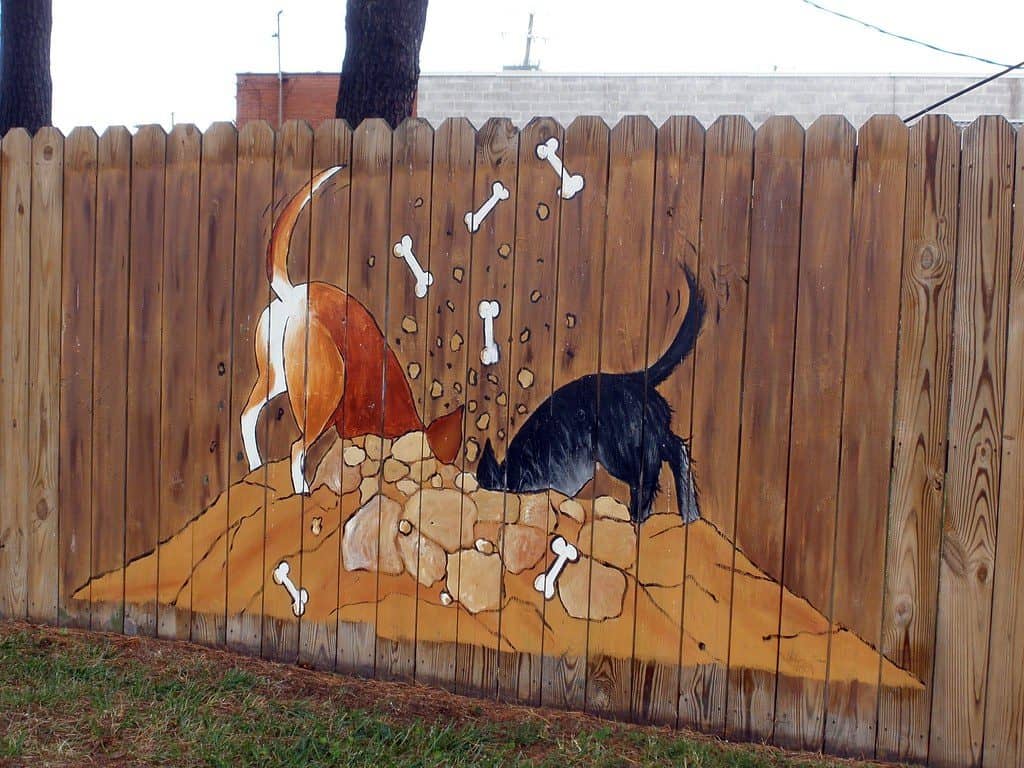 Wooden backyard fence with a dog mural