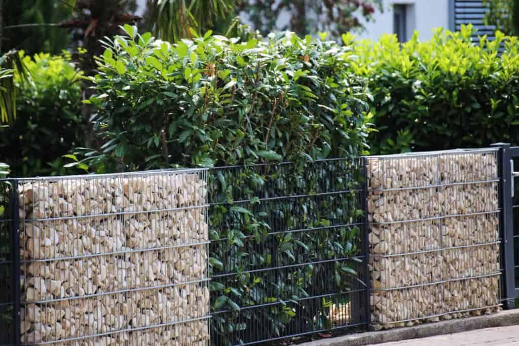 Gabion wall garden fence idea