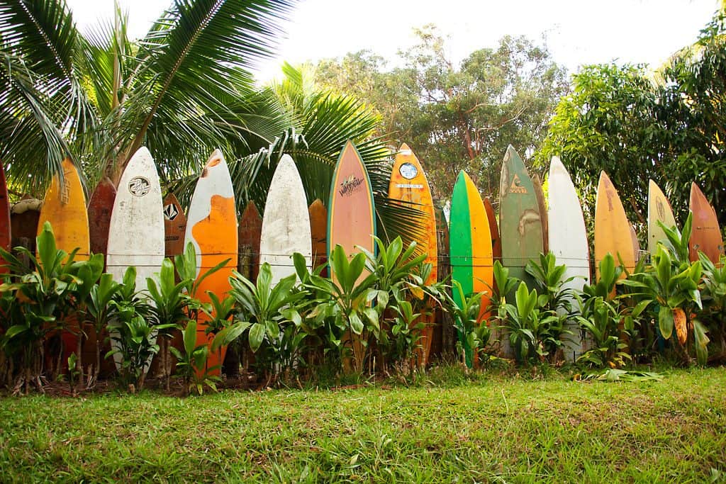 A variety of surfboards used as a fencing