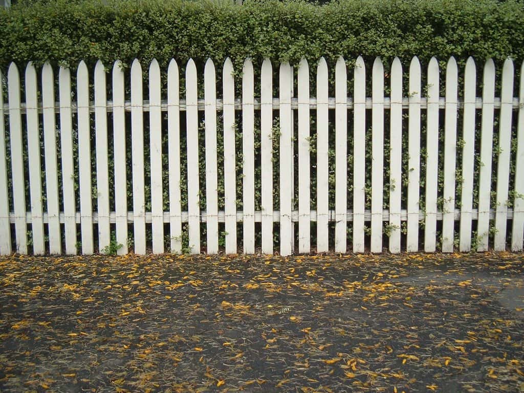 Traditional white picket fence
