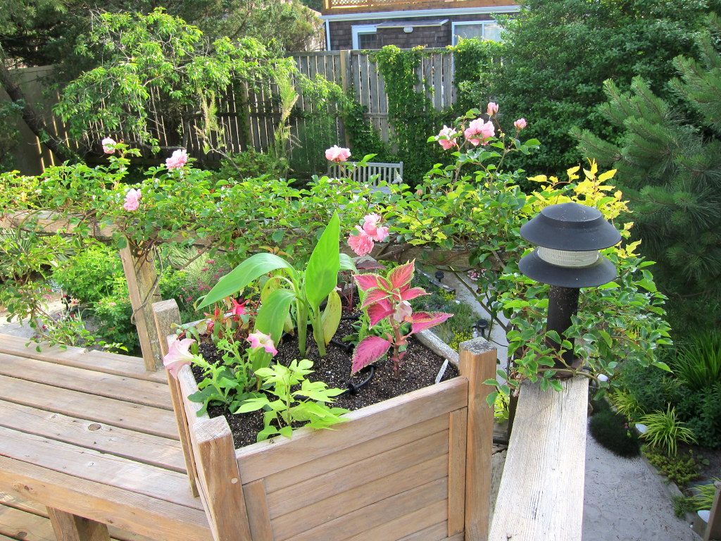 Wooden decking with matching planters