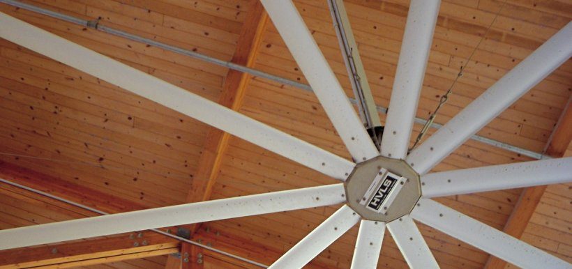 Electric fan for shed ventilation