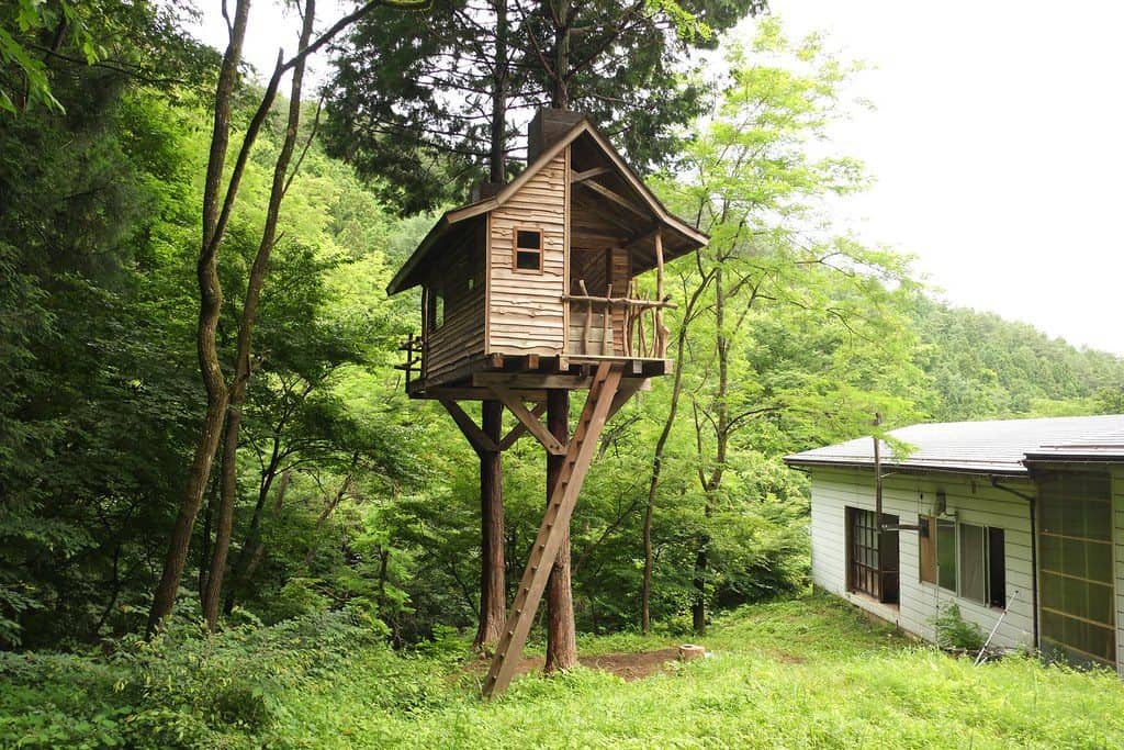Wooden summer house treehouse concept with ladder