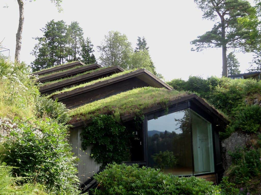 Summer house with living roof