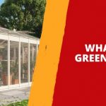 What Is A Greenhouse?