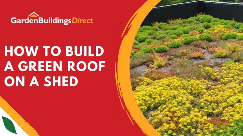 A Green Roof with title text "How to build a green roof on a shed"