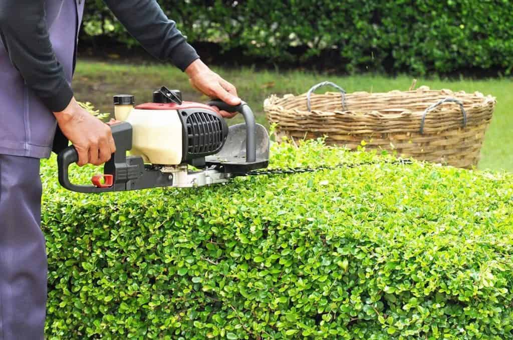 Hedge trimming with trimmers