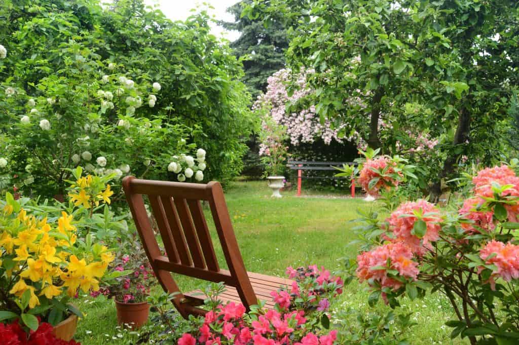 Clean and lush summer garden