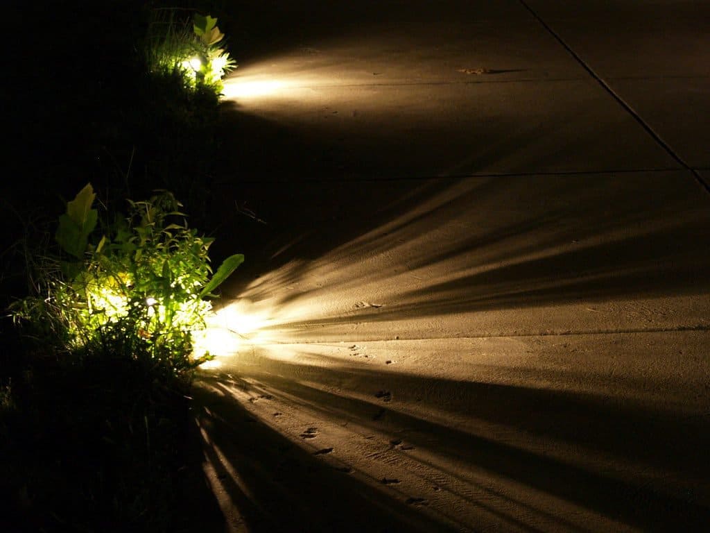 Garden pathway with lights