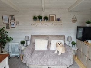 Garden room with sofa, wall decorations, and fluffy dog.