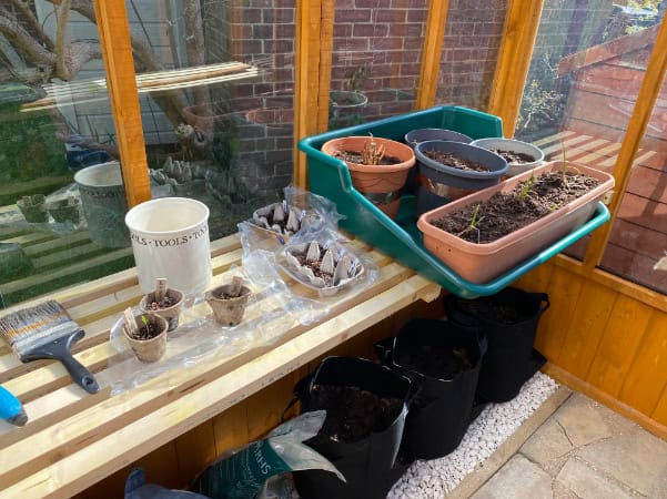 Customer’s Image: BillyOh 4000 Lincoln Wooden Polycarbonate Greenhouse