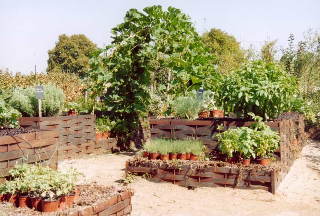 Potager garden