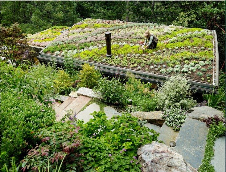Vegetable Garden Ideas to Maximise Your Growing Space