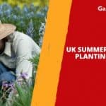 Blooming Success: UK Summer and Autumn Planting Calendar (2023)