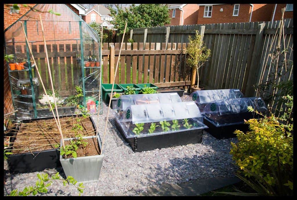 Backyard allotment plot