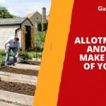 Allotment Ideas and Tips to Make the Most of Your Plot