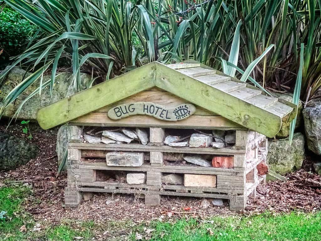 3-tiered bug hotel