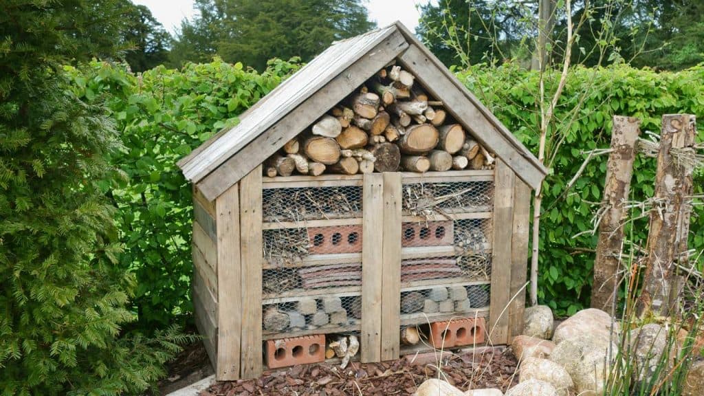 Bug hotel addition to an allotment garden