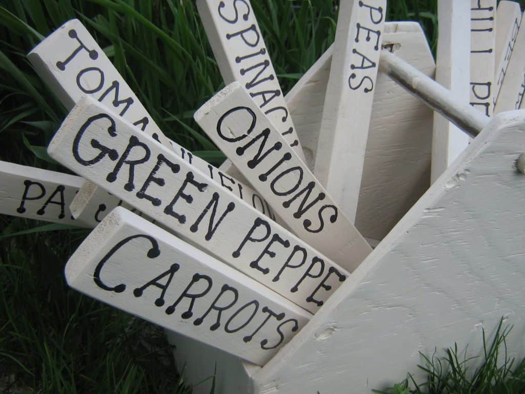 Plant markers