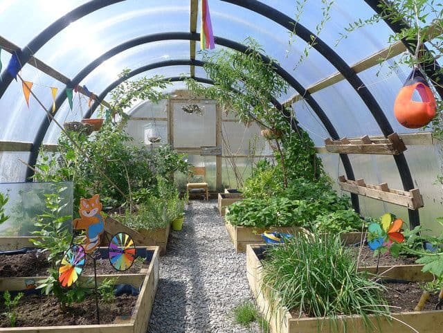 A mini garden inside a polytunnel