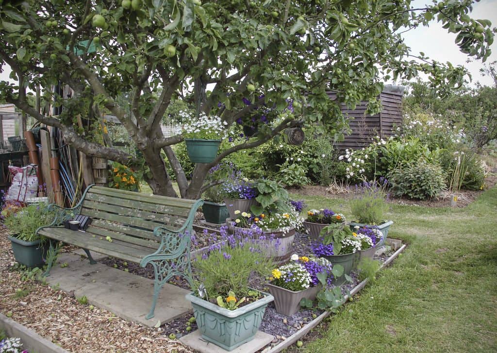 Paddock allotments & leisure gardens with bench seating