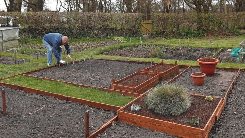 Starting out an allotment garden