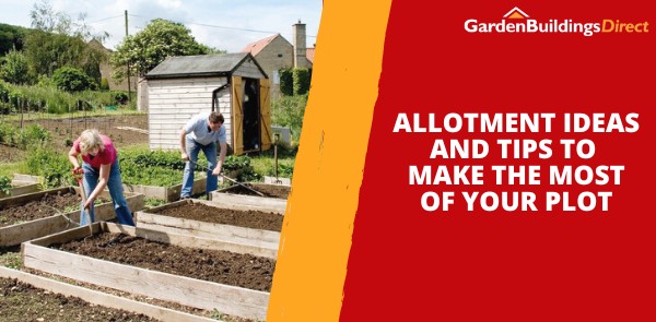 Allotment Ideas and Tips to Make the Most of Your Plot
