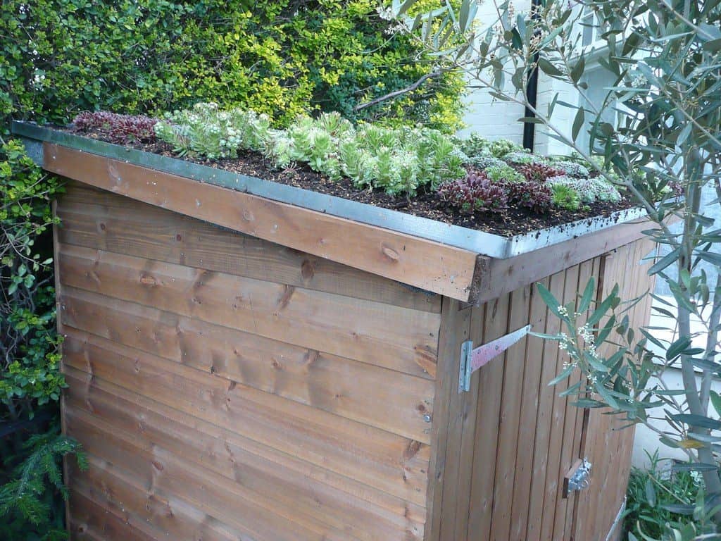 Bike shed with green roof