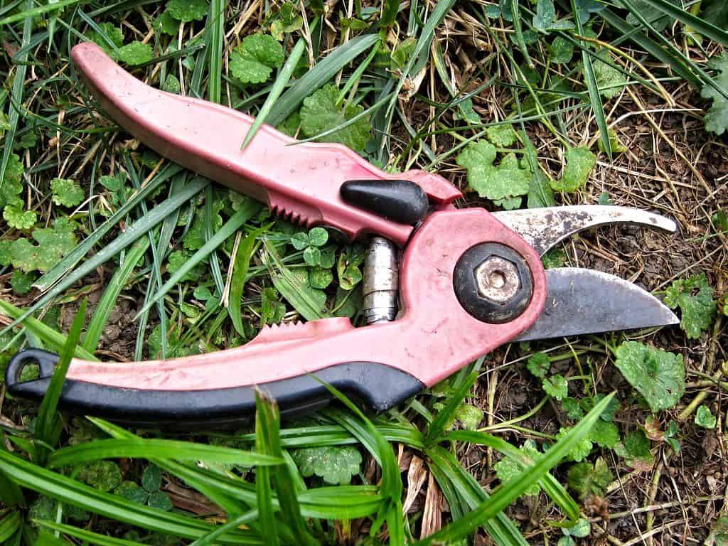 Garden Pruning Shears 8'' Professional Hand Clippers Trimmers Heavy Duty  Bypass