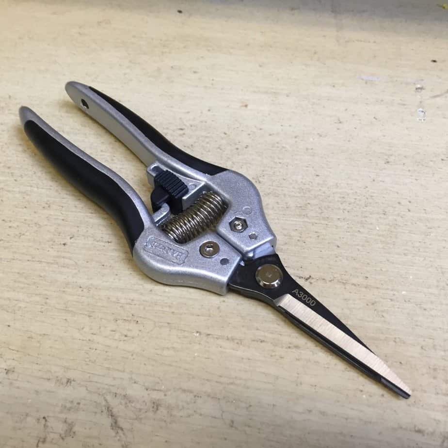 Needle-nose pruner for pruning