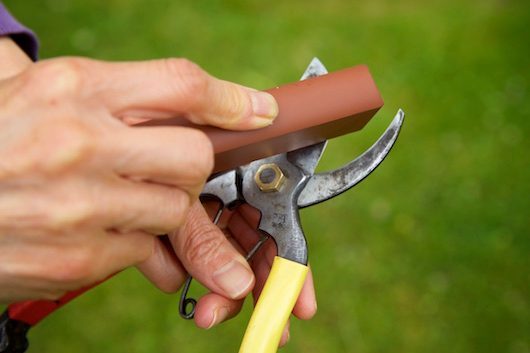 Sharpening stones for pruning tools