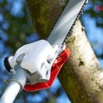 Garden Pruning Tool Ideas and Pro Tips
