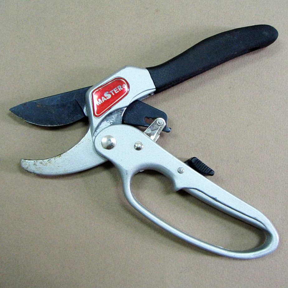 https://blog.gardenbuildingsdirect.co.uk/wp-content/uploads/2022/07/garden-pruning-tools-ideas-3-anvil-pruners-1024x1024.jpg