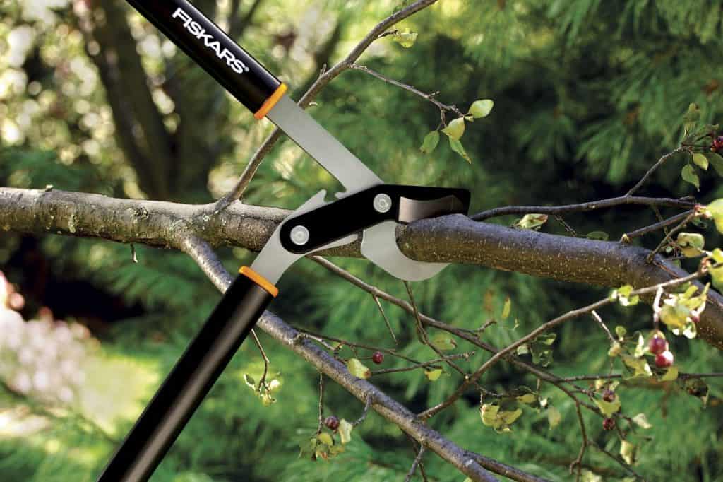 Anvil pruners for pruning