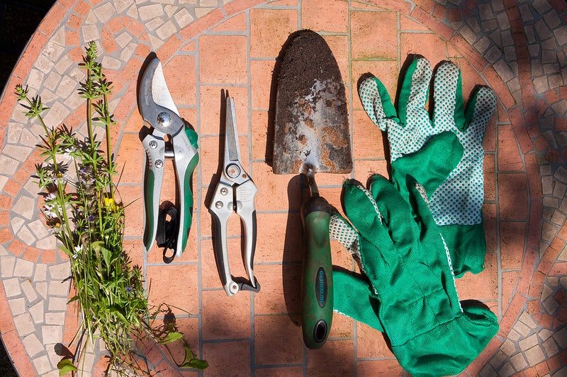 Pruning house plant tools