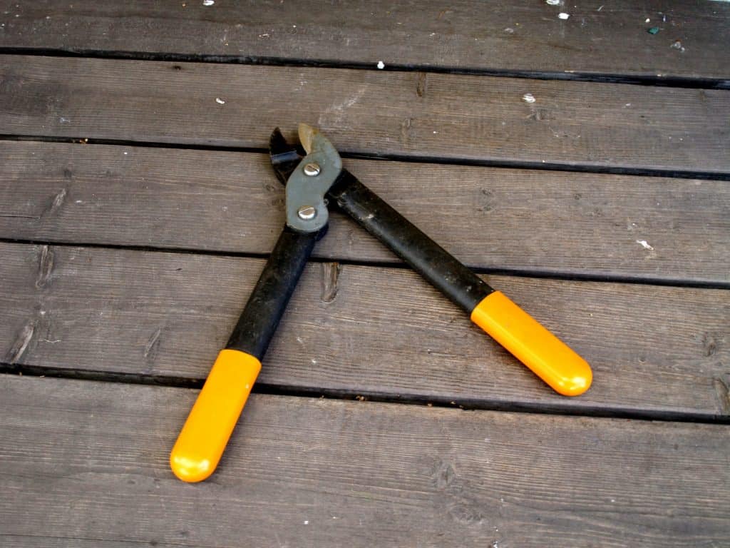 Hedge shears