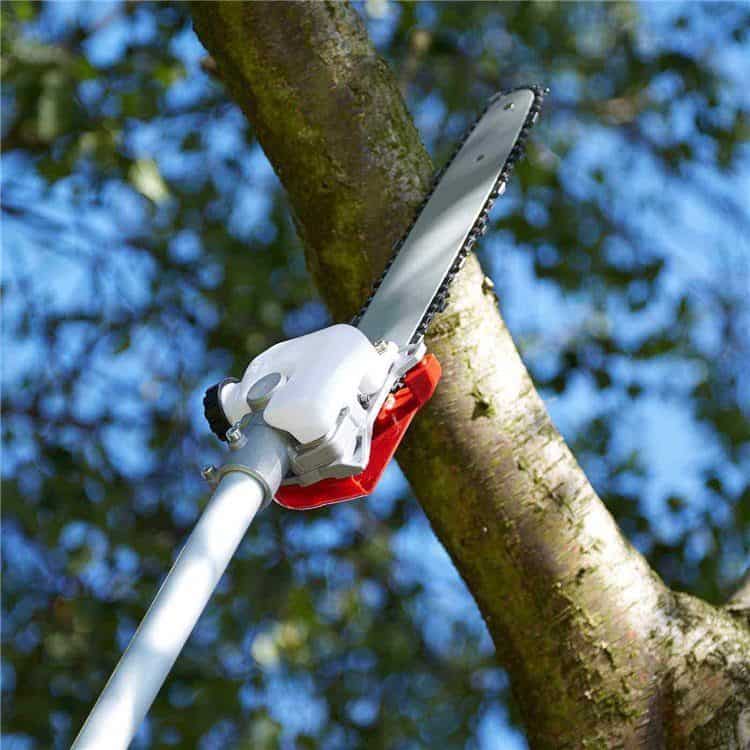 Petrol store branch cutter