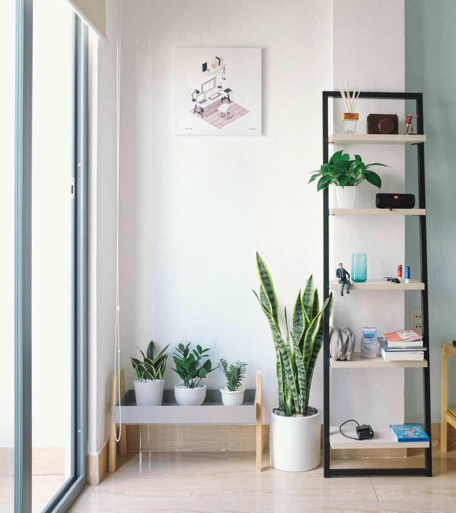 Living room corner plant shelf display