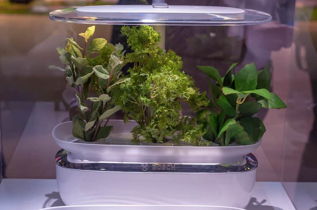 Indoor hydroponic method