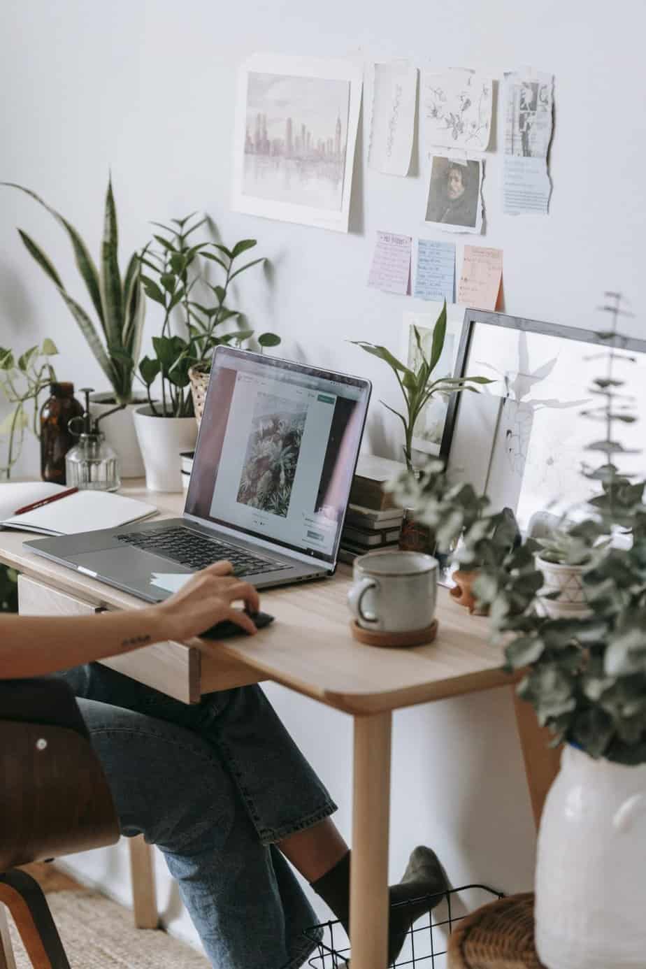 Zen-like home workspace filled with plants, with a person sitting on the chair