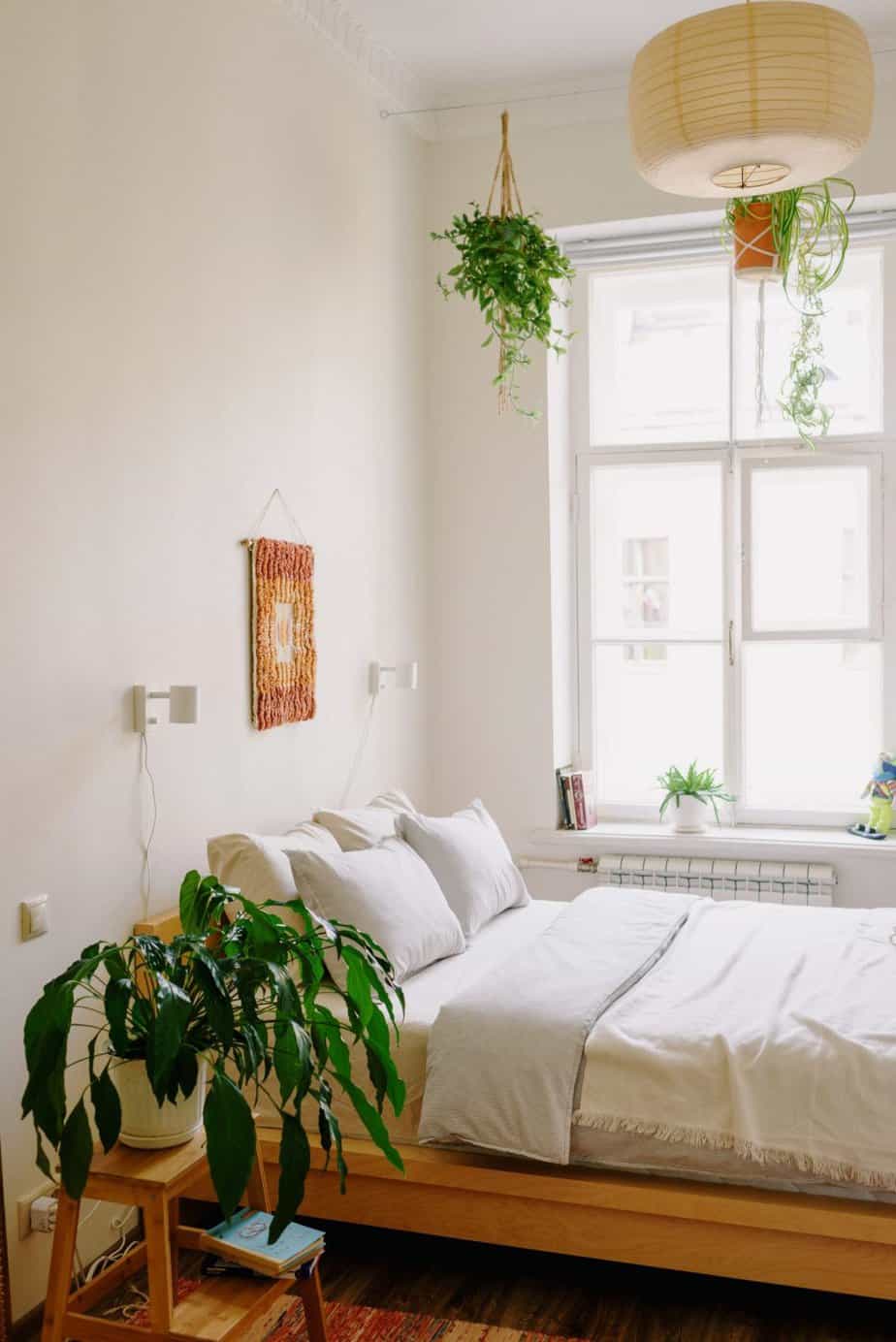White bedroom with wooden accents and plants