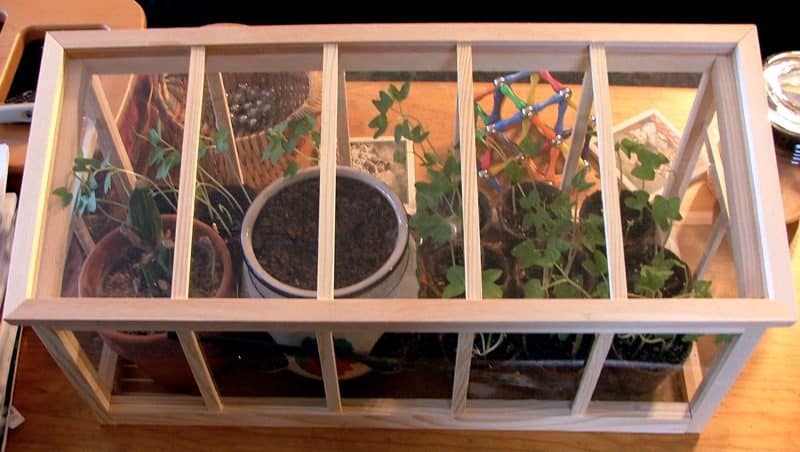 DIY indoor mini greenhouse box