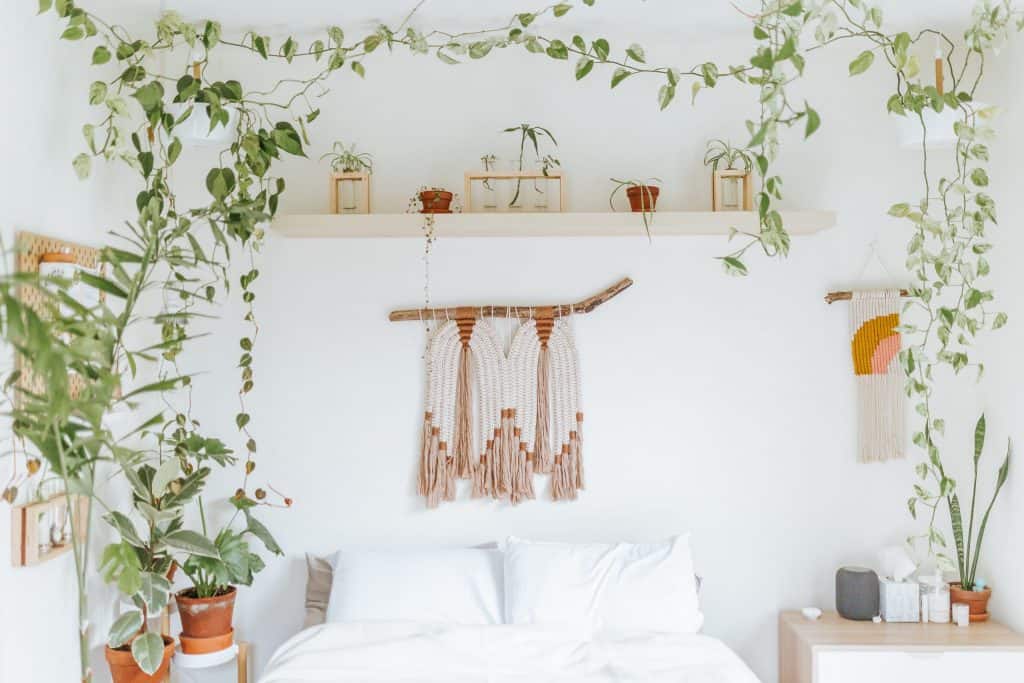 White bedroom with plants and climbers
