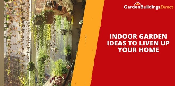Indoor Garden Ideas to Liven Up Your Home