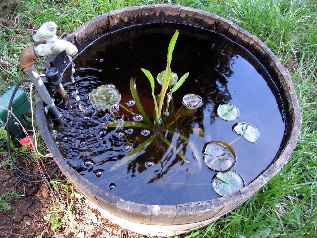 Wooden barrel pond