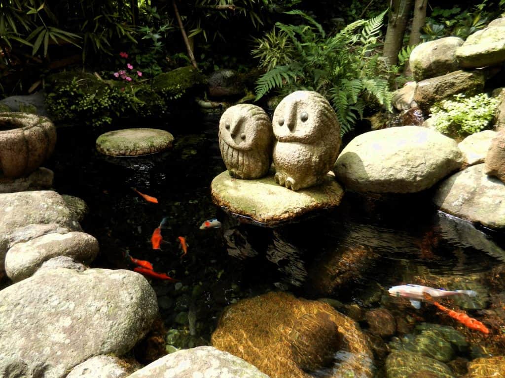 Pebbles and rocks Koi poind