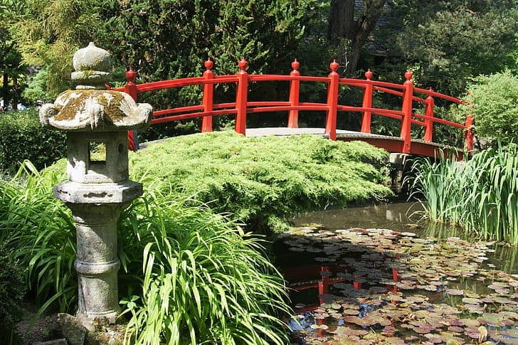 Koi pond with connecting red bridge